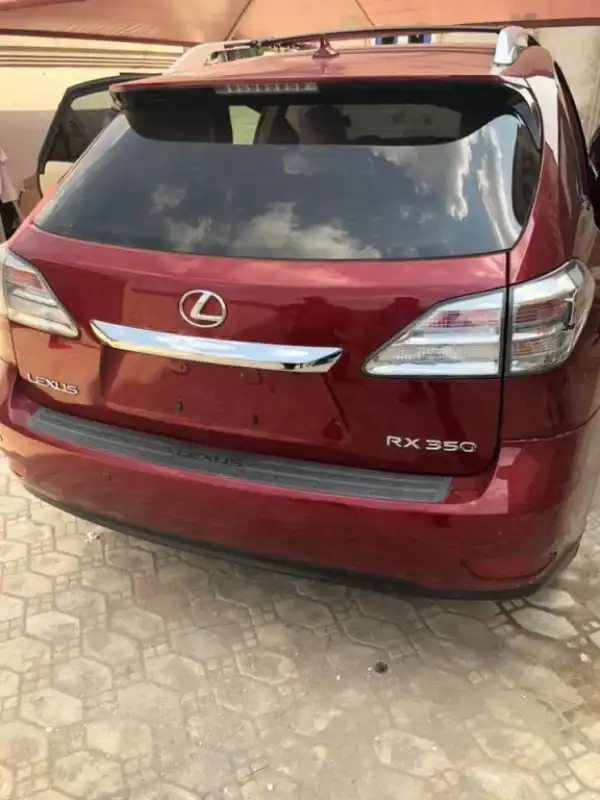 See Photos Of Xbusta